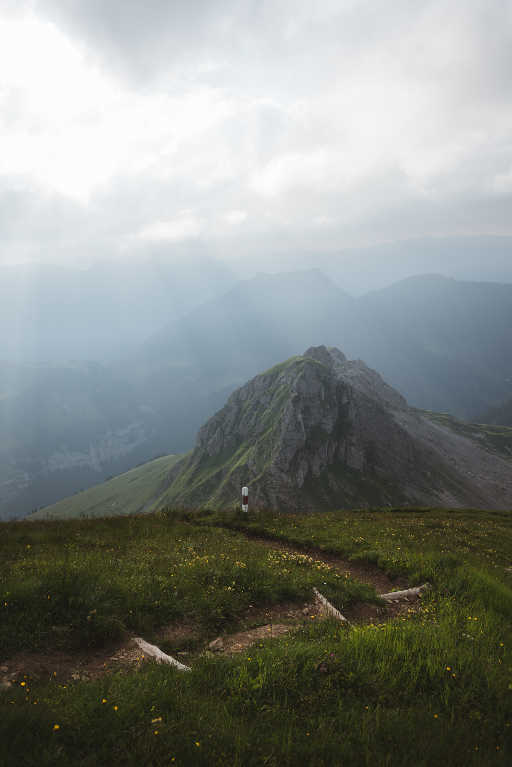 photo of summer sunrise